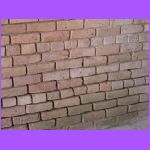 Hurricane Damage.jpg